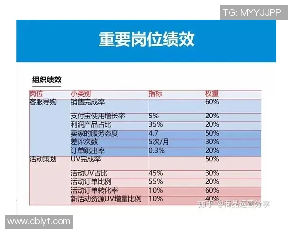 北京排球队战术解析与运营体系研究探讨